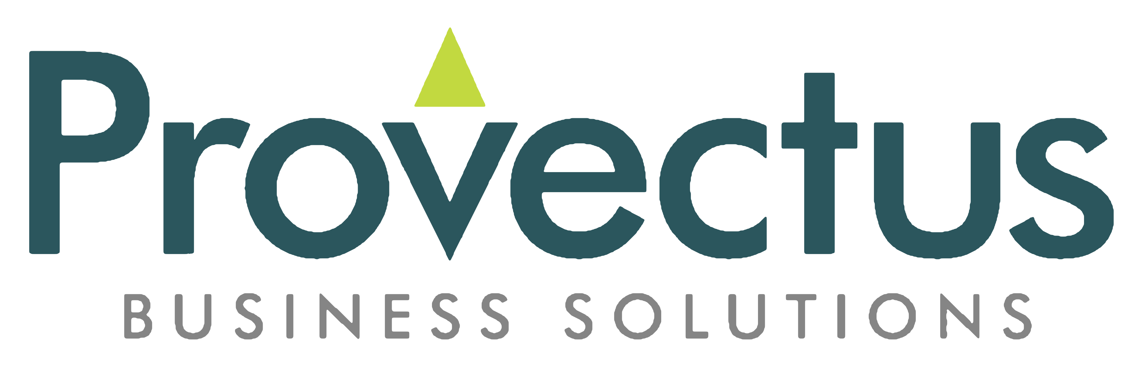 Provectus Business Solutions